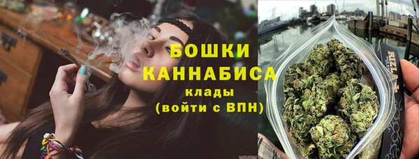 дмт Аша